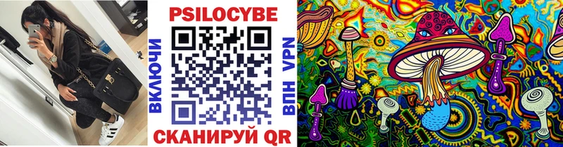 Купить закладки  Красновишерск  Галлюциногенные грибы мухоморы 